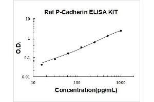 P-Cadherin (CDH3) ELISA Kit