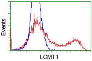 HEK293T cells transfected with either RC200018 overexpress plasmid (Red) or empty vector control plasmid (Blue) were immunostained by anti-LCMT1 antibody (ABIN2454742), and then analyzed by flow cytometry. (LCMT1 Antikörper)