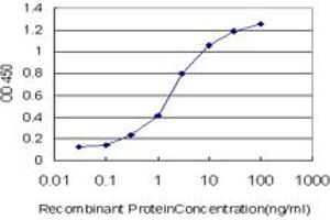 Detection limit for recombinant GST tagged RIPK2 is approximately 0. (RIPK2 Antikörper  (AA 431-540))