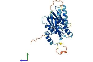 Protein Structure (PS) image for RWD Domain Containing 2A (RWDD2A) (AA 1-292) protein (His tag) (ABIN7551636)