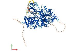 Protein Structure (PS) image for DEAH (Asp-Glu-Ala-His) Box Polypeptide 32 (DHX32) (AA 1-743) protein (His tag) (ABIN7547131)