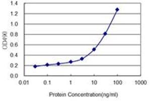 Sandwich ELISA detection sensitivity ranging from 1 ng/ml to 100 ng/ml. (SGCG (Human) Matched Antibody Pair)