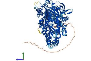 Protein Structure (PS) image for Piwi-Like 4 (PIWIL4) (AA 1-848) protein (His tag) (ABIN7564574)
