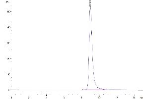 The purity of Cynomolgus LILRB4 is greater than 95 % as determined by SEC-HPLC. (LILRB4 Protein (AA 22-259) (His tag))