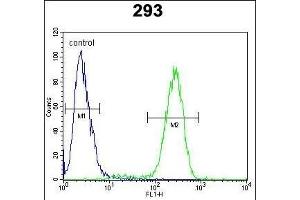 TRSS2 Antibody (N-term) (ABIN391563 and ABIN2841502) flow cytometric analysis of 293 cells (right histogram) coared to a negative control cell (left histogram). (TMPRSS2 Antikörper  (N-Term))
