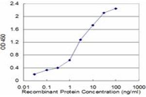 Detection limit for recombinant GST tagged SEPX1 is approximately 0. (MSRB1 Antikörper  (AA 1-84))