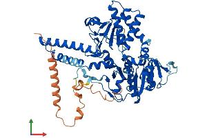 AlphaFold protein structure predicition of Human Recombinant NT5DC2 Protein, UniprotID Q9H857