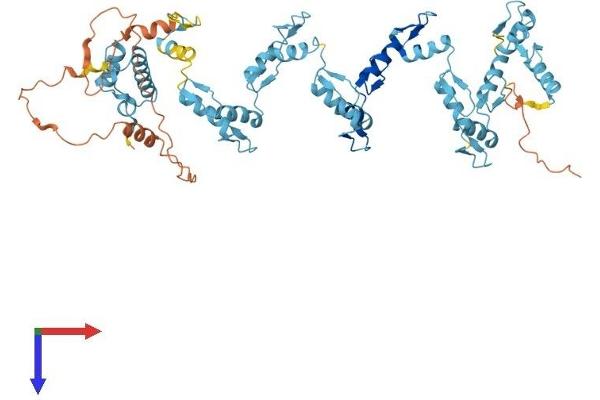 ZNF92 Protein (AA 1-586) (His tag)