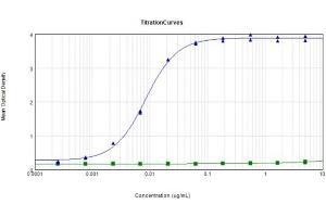 anti-Feimin (pThr112) antibody