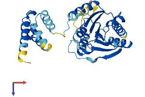 AlphaFold protein structure predicition of Human Recombinant FAM86B1 Protein, UniprotID Q8N7N1