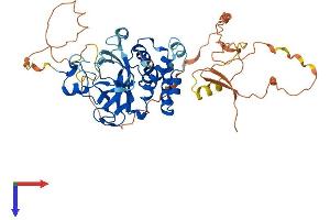 SUV420H2/KMT5C Protein (AA 1-462) (His tag)