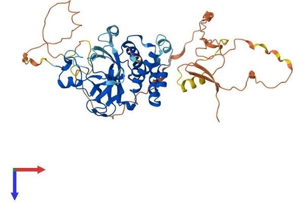 SUV420H2/KMT5C Protein (AA 1-462) (His tag)