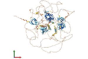 Protein Structure (PS) image for Regulator of G-Protein Signalling 12 (RGS12) (AA 1-1381) protein (His tag) (ABIN7564570)