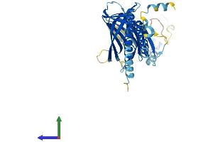 ERGIC3 Protein (AA 1-383) (His tag)