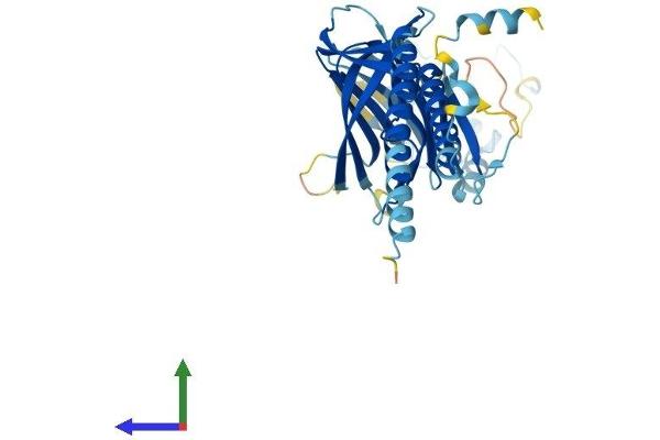 ERGIC3 Protein (AA 1-383) (His tag)