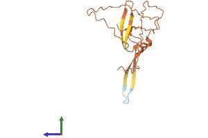AlphaFold protein structure predicition of Human Recombinant DIAPH2-AS1 Protein, UniprotID Q14236