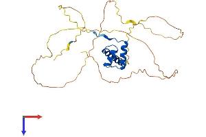 OTX2 Protein (AA 1-289) (His tag)