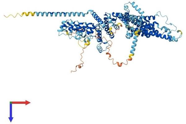 TRPC7 Protein (AA 1-862) (His tag)