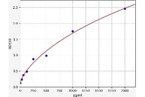 NKp44/NCR2 ELISA Kit