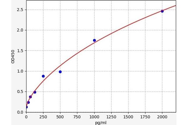 NKp44/NCR2 ELISA Kit