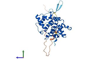 Protein Structure (PS) image for Golgi phosphoprotein 3 (Coat-Protein) (GOLPH3) (AA 1-298) protein (His tag) (ABIN7554034)