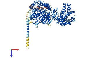 NDST2 Protein (AA 1-883) (His tag)