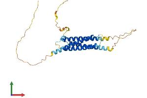 Protein Structure (PS) image for Regulator of G Protein Signaling 7 Binding Protein (RGS7BP) (AA 1-257) protein (His tag) (ABIN7558821)