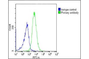 Flow Cytometry (FACS) image for anti-HLA Class I Histocompatibility Antigen, alpha Chain G (HLAG) (AA 62-89) antibody (ABIN652888)