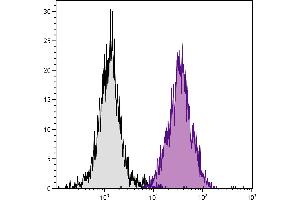 C3H/He mouse splenocytes were stained with Mouse Anti-Mouse H-2Dk-PE. (H-2Dk Antikörper  (FITC))