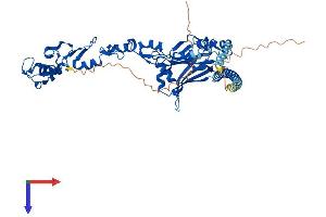 TRAF6 Protein (AA 1-522) (His tag)