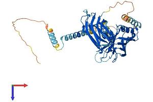SYT1 Protein (AA 1-421) (His tag)