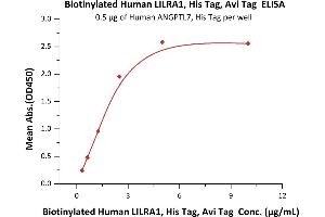 Immobilized Human ANGPTL7, His Tag (ABIN5526615,ABIN6809995) at 5 μg/mL (100 μL/well) can bind Biotinylated Human LILRA1, His,Avitag (ABIN5954999,ABIN6253637) with a linear range of 0.