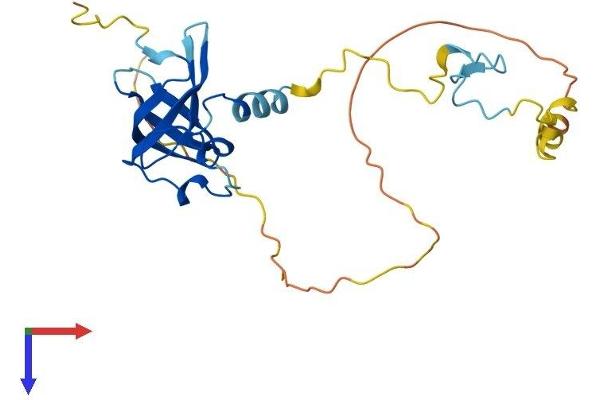 ZCCHC17 Protein (AA 1-241) (His tag)