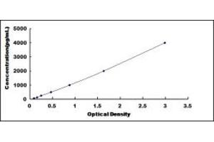 Typical standard curve (IL5RA ELISA Kit)