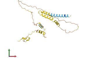 AlphaFold protein structure predicition of Human Recombinant SYNDIG1L Protein, UniprotID A6NDD5