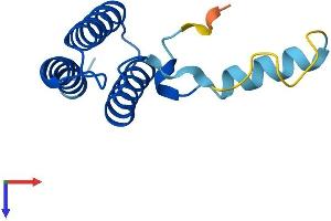 LYRM1 Protein (AA 1-122) (His tag)