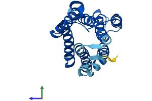 Protein Structure (PS) image for KDEL (Lys-Asp-Glu-Leu) Endoplasmic Reticulum Protein Retention Receptor 2 (KDELR2) (AA 1-212) protein (His tag) (ABIN7547425)