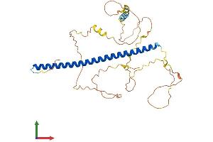 Protein Structure (PS) image for Jun B Proto-Oncogene (JUNB) (AA 1-344) protein (His tag) (ABIN7562776)