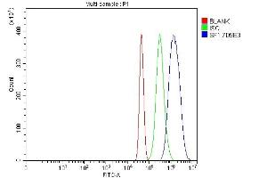 Flow Cytometry analysis of Neuro-2a cells using anti-splicing factor 1 antibody (ABIN7600194). (Splicing Factor 1 Antikörper  (AA 160-266))