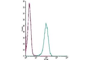 Cell surface detection of LPAR6 by indirect flow cytometry in live intact human THP-1 monocytic leukemia cells: (black line) Cells. (LPAR6 Antikörper  (Extracellular))