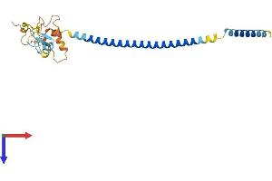 RNF187 Protein (AA 1-236) (His tag)
