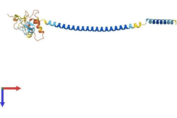 RNF187 Protein (AA 1-236) (His tag)