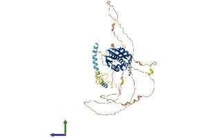 AlphaFold protein structure predicition of Human Recombinant ATG13 Protein, UniprotID O75143