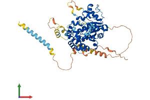 AlphaFold protein structure predicition of Human Recombinant CHST7 Protein, UniprotID Q9NS84