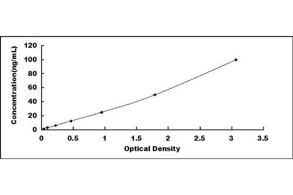 NOX1 ELISA Kit