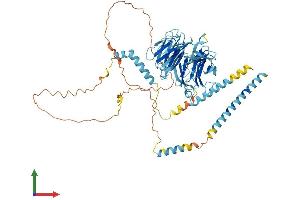 Protein Structure (PS) image for Dynein, Cytoplasmic 1, Intermediate Chain 1 (DYNC1I1) (AA 1-645) protein (His tag) (ABIN7553618)