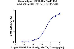 Immobilized Cynomolgus HGF R, His Tag at 1 μg/mL (100 μL/well) on the plate. (c-MET Protein (AA 25-930) (His tag))
