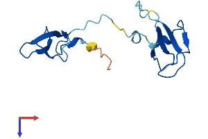 POLR2I Protein (AA 1-125) (His tag)