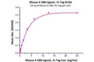 Binding Studies (Bind) image for Tumor Necrosis Factor (Ligand) Superfamily, Member 9 (TNFSF9) (AA 104-309) (Active) protein (Fc Tag) (ABIN2870709)