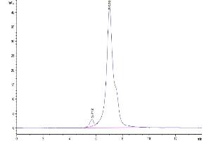 Size-exclusion chromatography-High Pressure Liquid Chromatography (SEC-HPLC) image for Leukocyte Immunoglobulin-Like Receptor, Subfamily B (With TM and ITIM Domains), Member 1 (LILRB1) (AA 1-474) protein (Fc Tag) (ABIN7275163)